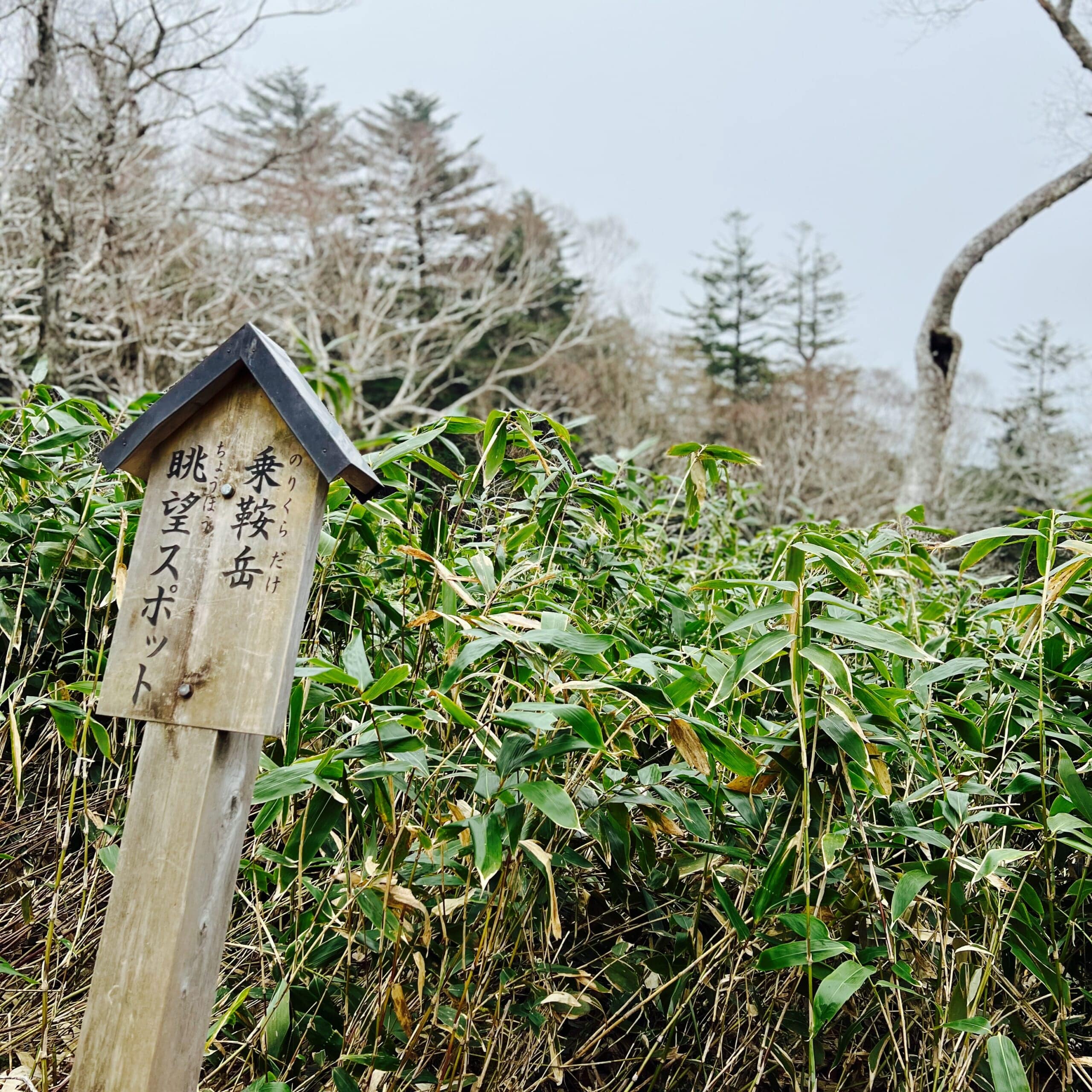 両面宿儺 飛騨高山 位山ハイキング 天の岩戸