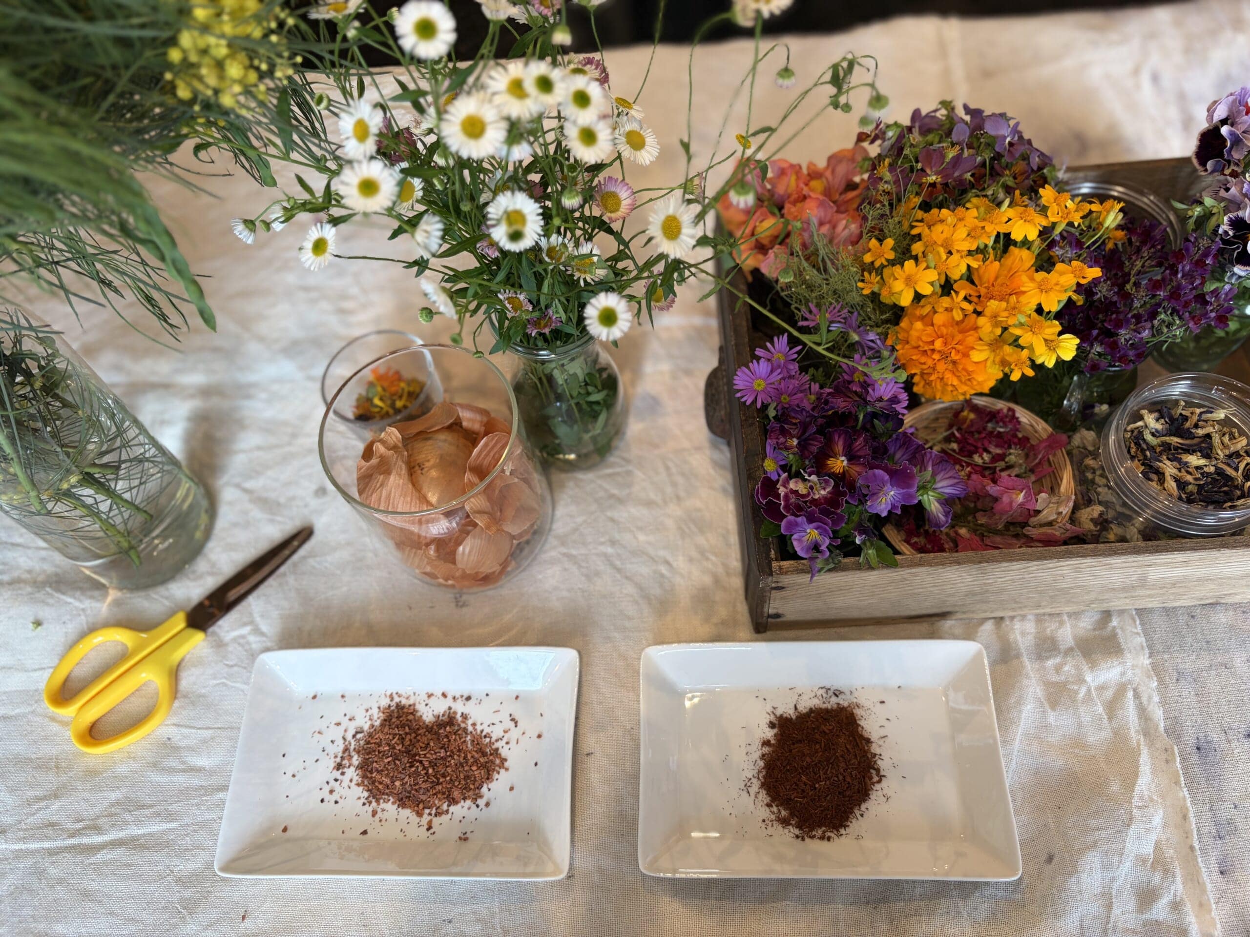 庭の花を簡単草木花びら染、靴下を染めてみました。玉ねぎや茜の花で染める草木染。