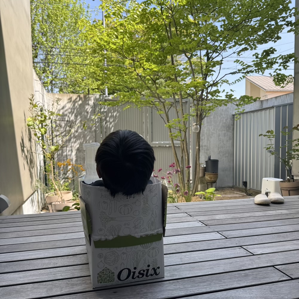 お庭　5月　新緑