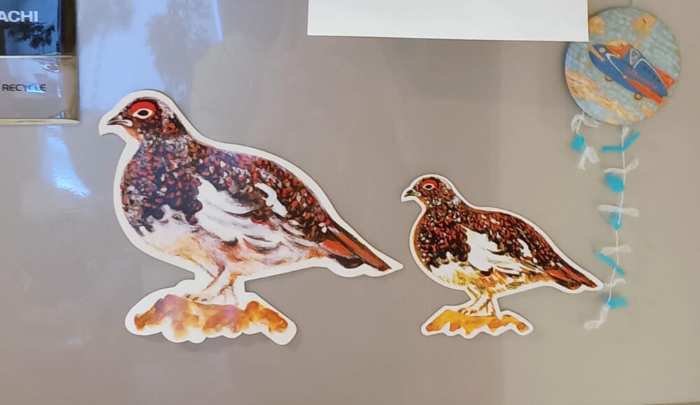 雷鳥の里　長野県　おみやげ7