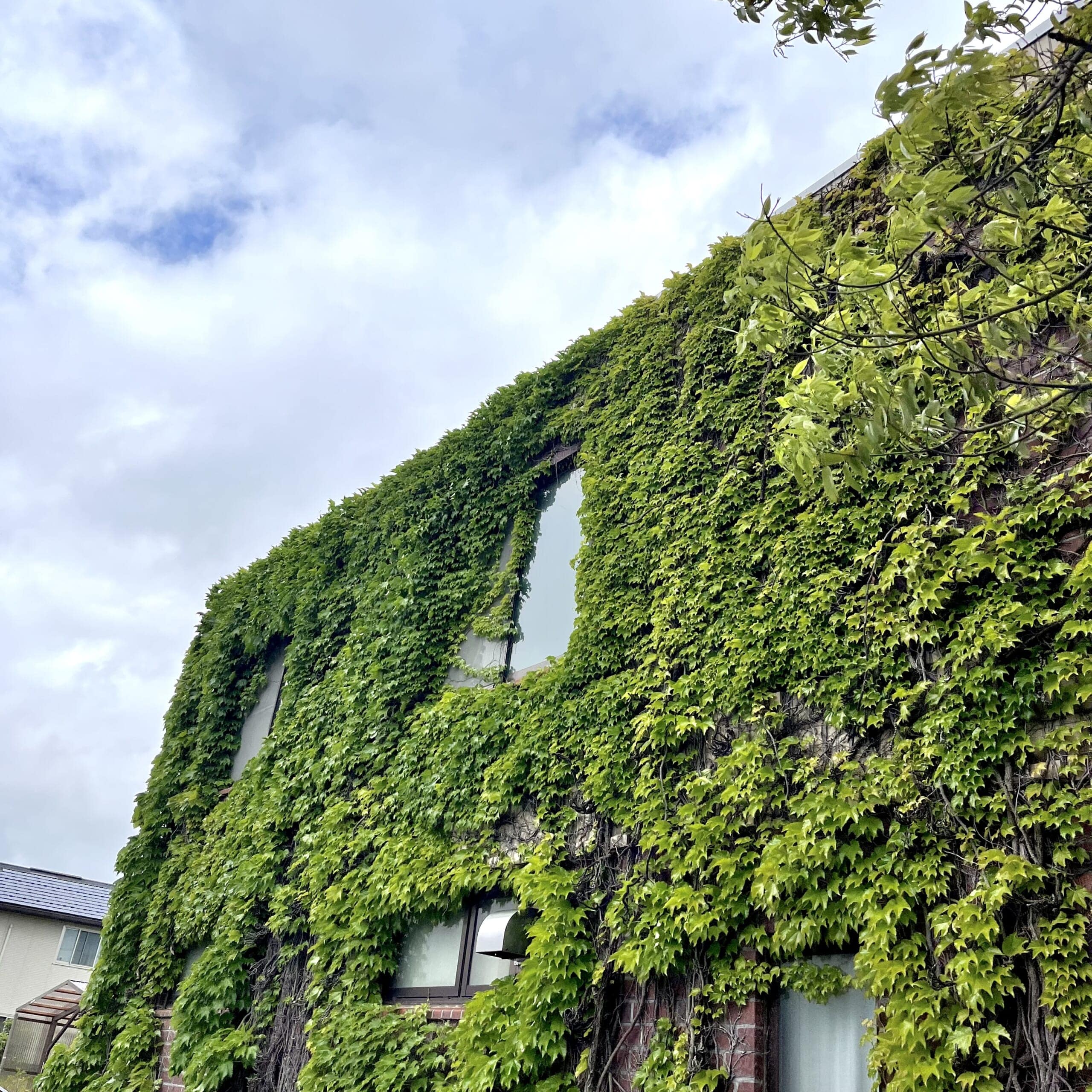 建物