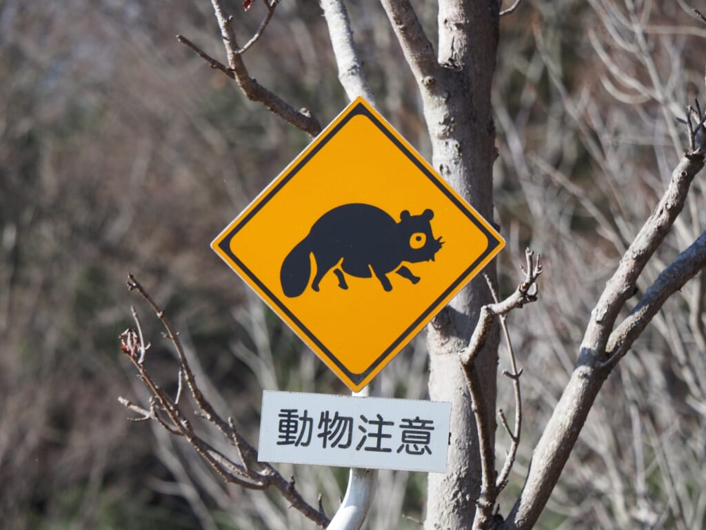 道路標識　動物注意　野生動物に注意