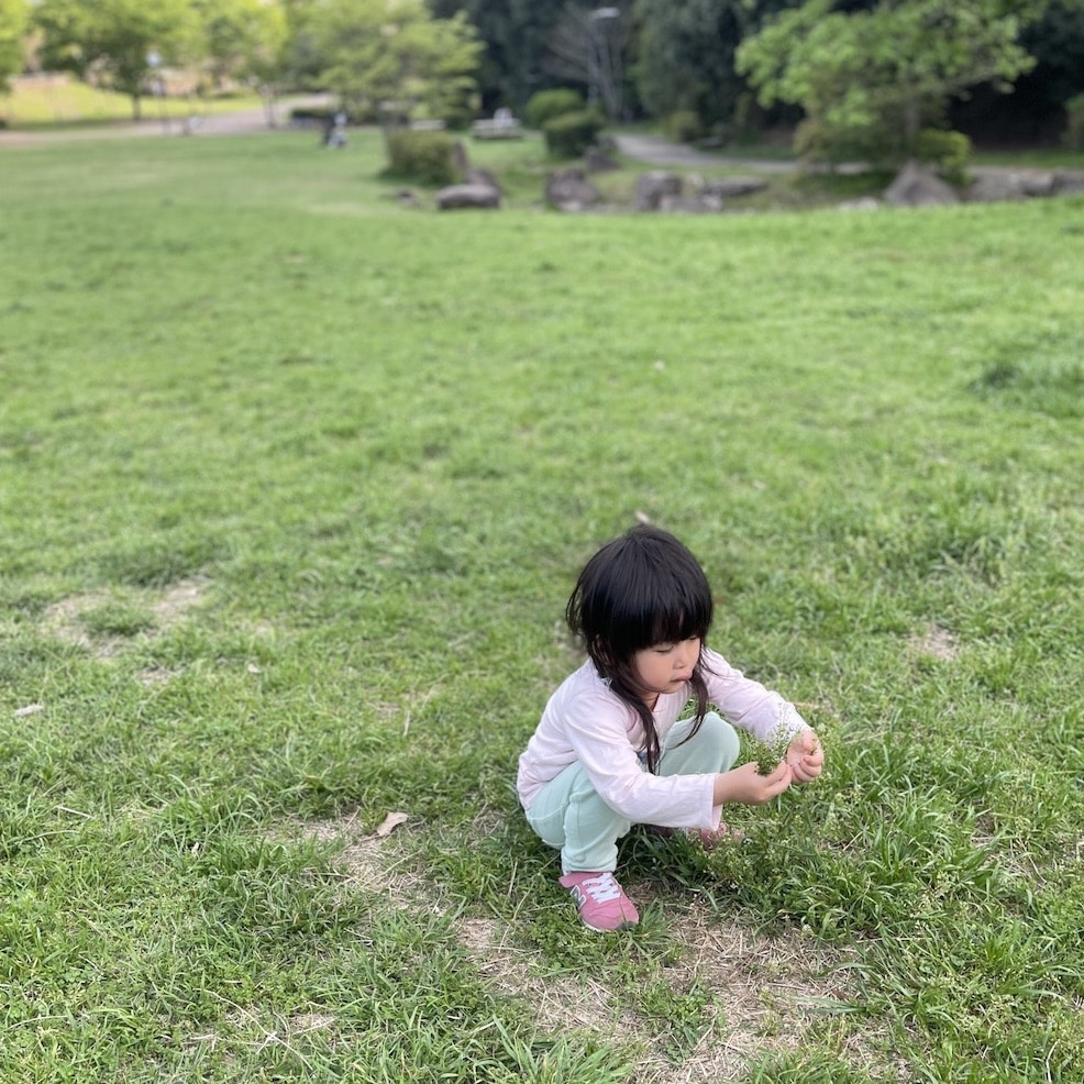公園　芝生　子ども