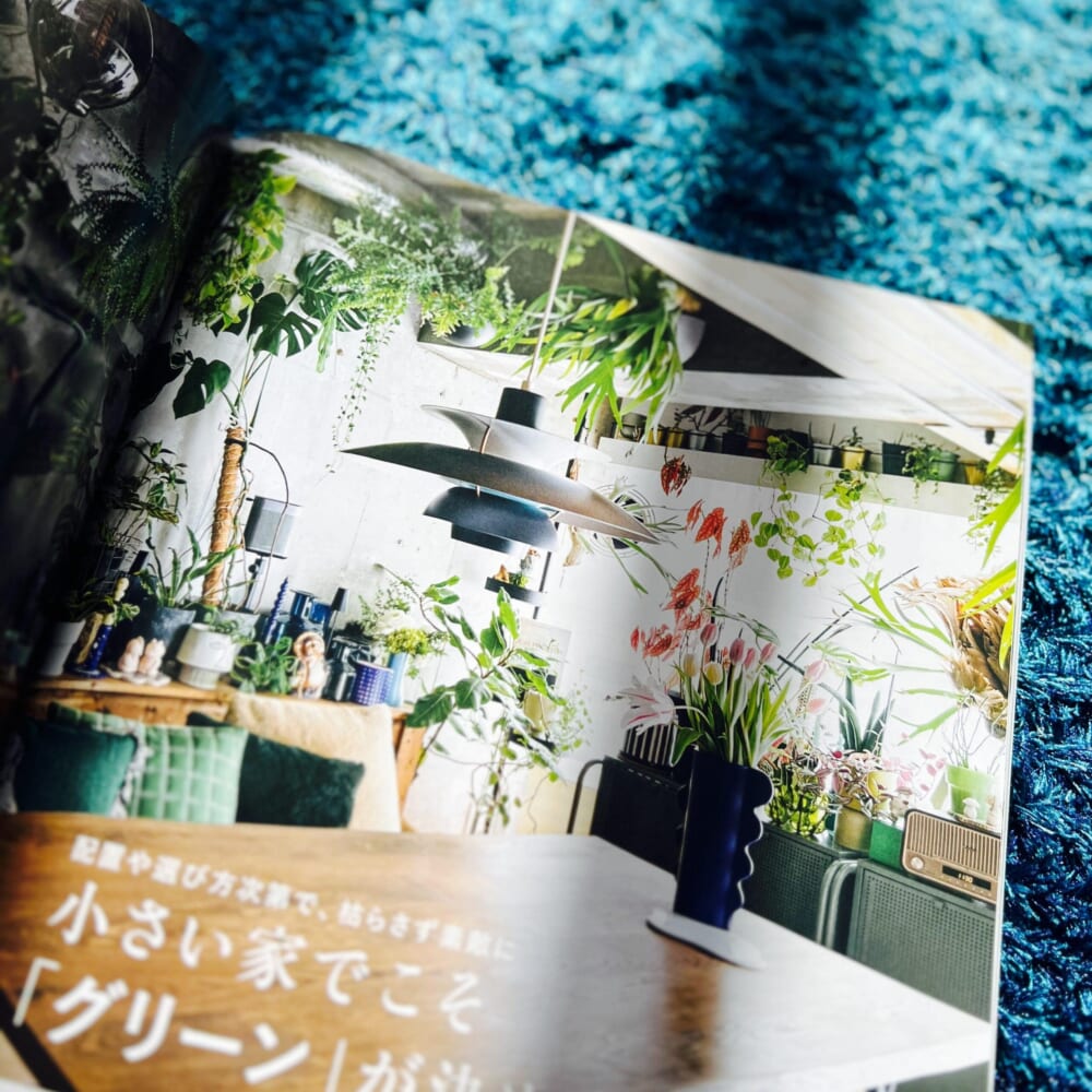 小さい家でこそ「グリーン」が決め手！ LEE2026年6月号　レビュー