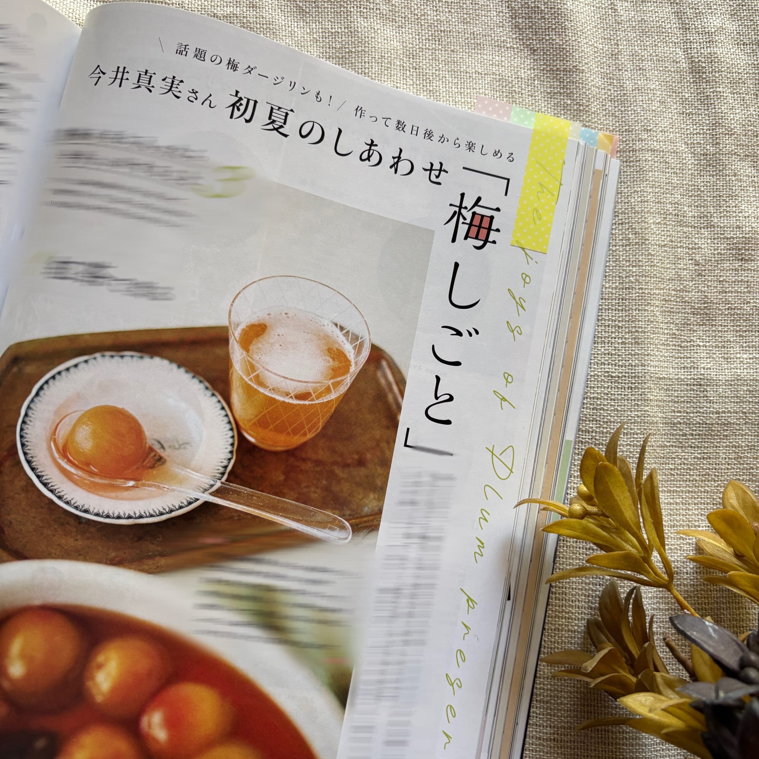 LEE6月号レビュー