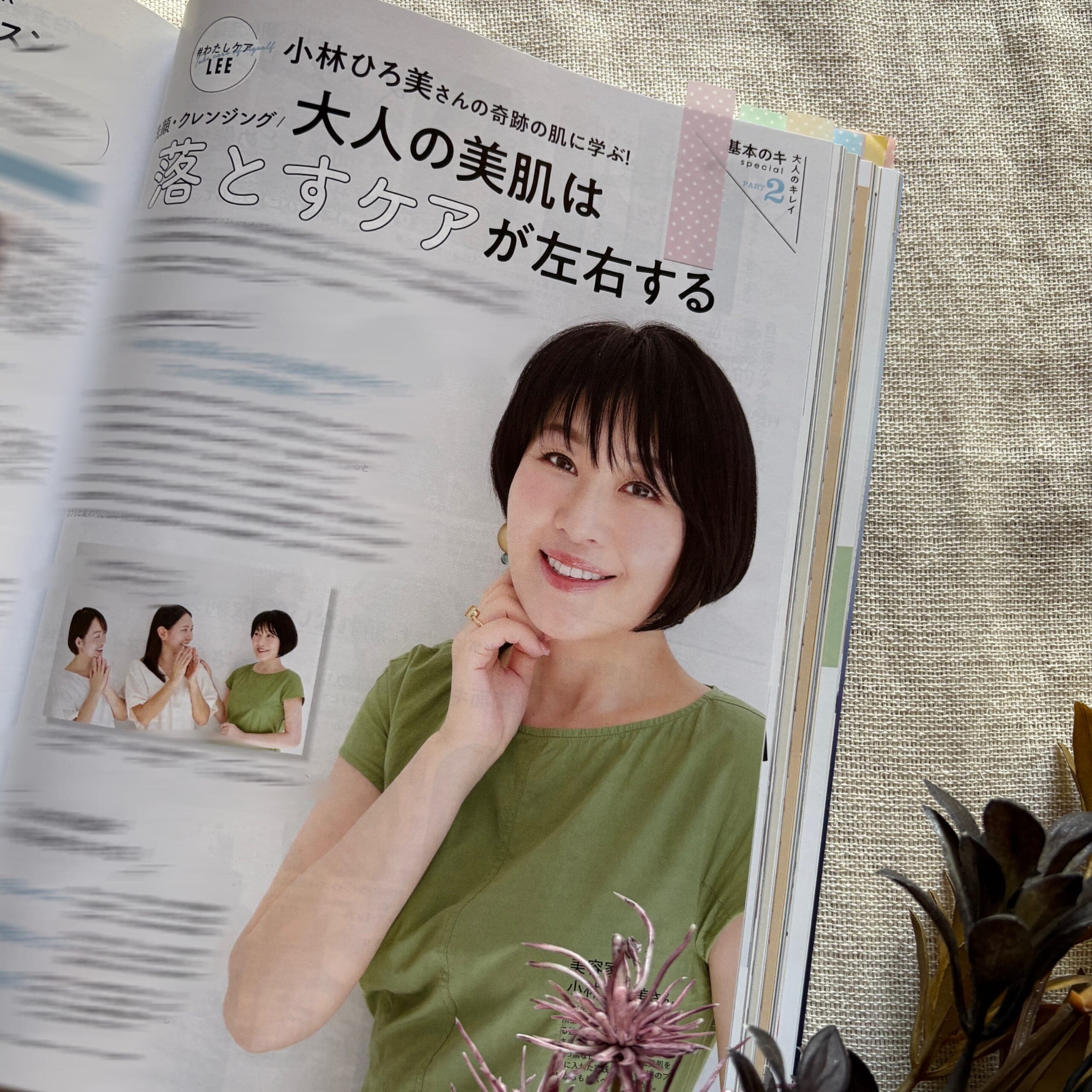 LEE6月号レビュー