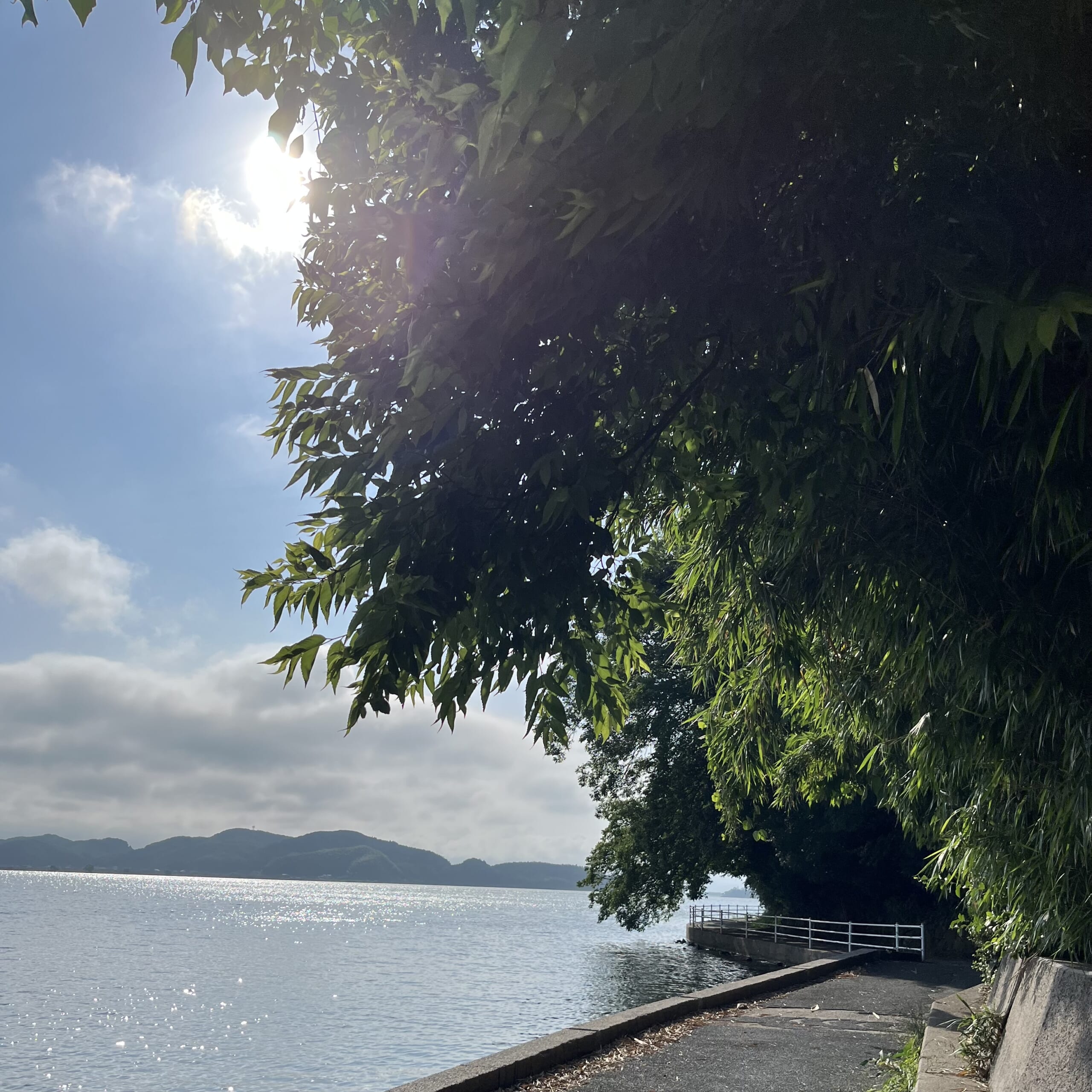 湖