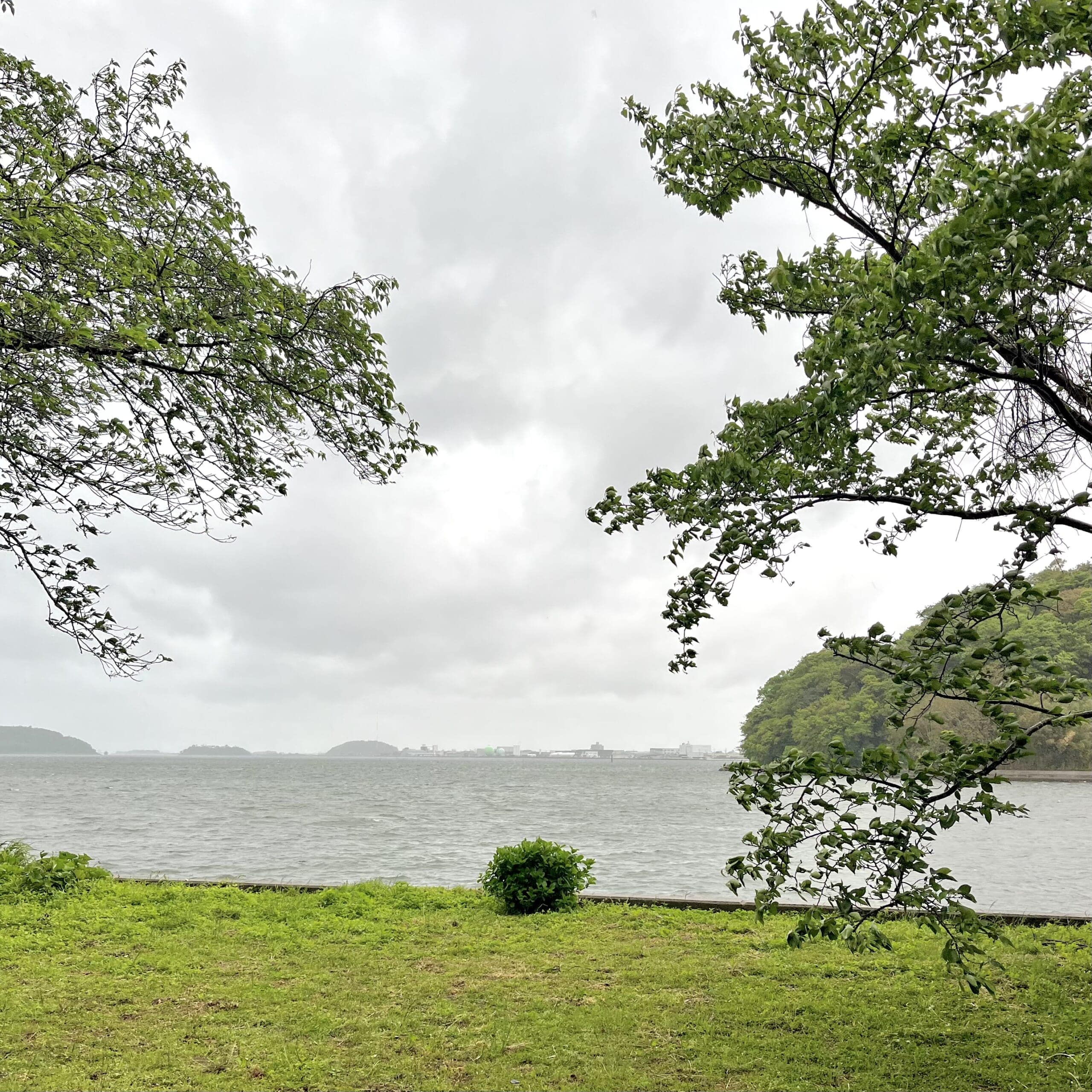 湖