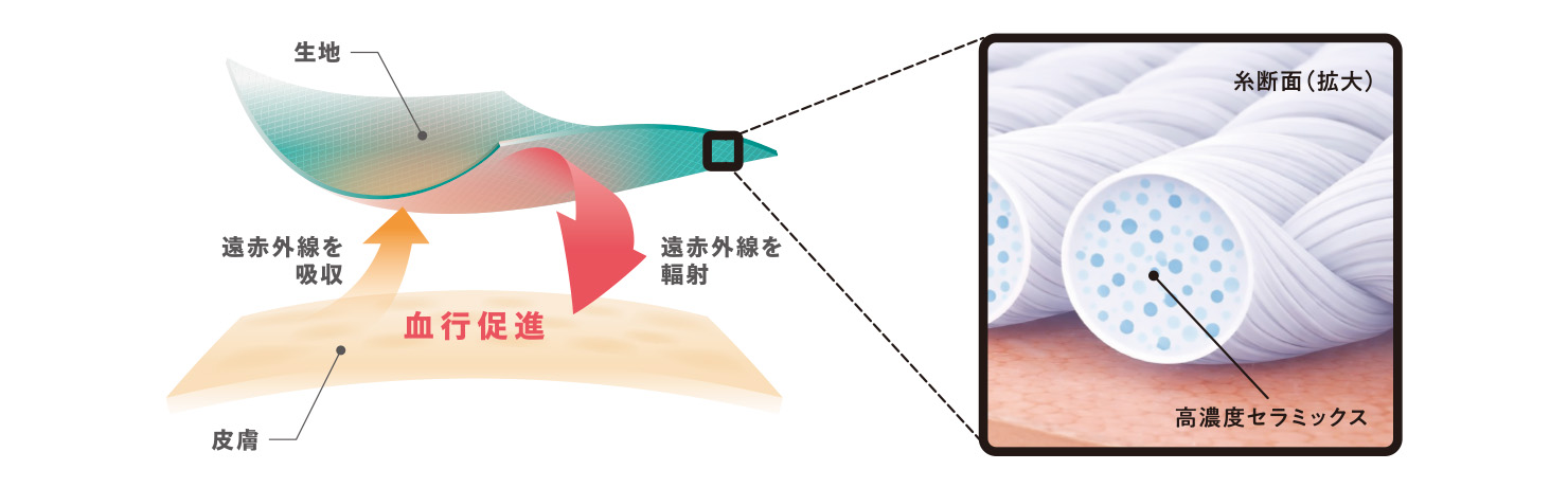 メディヒールの仕組み解説