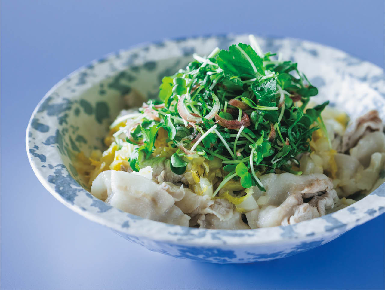 豚しゃぶの薬味ミックスがけ