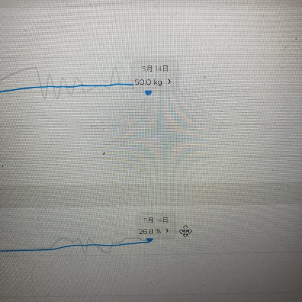 ダイエット　体重　体脂肪率