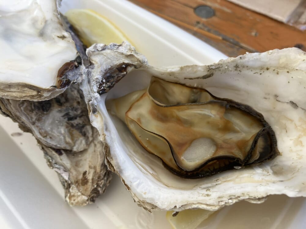 メリプリンチペッサ銀座店
広島イタリアン
殻付き蒸し牡蠣