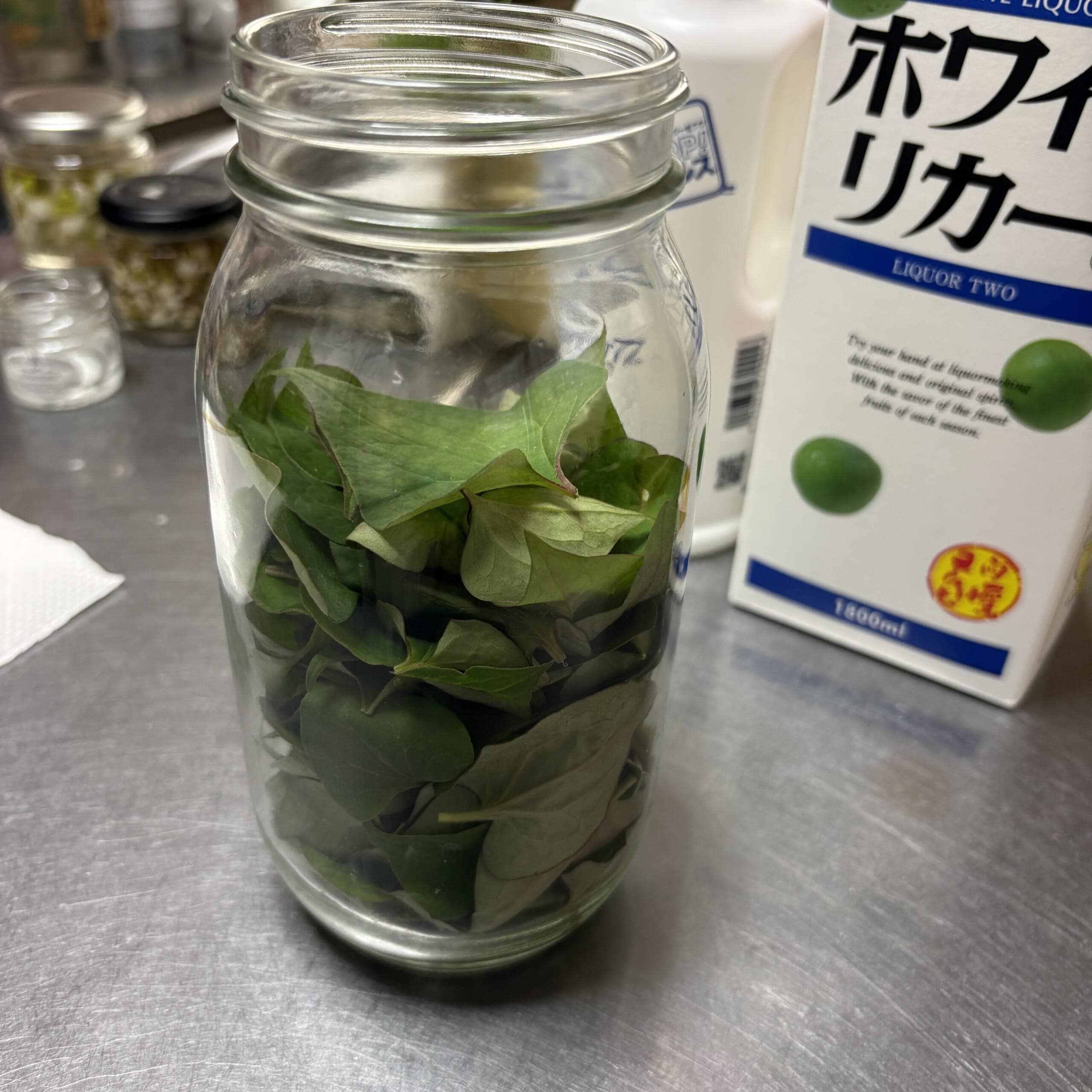 ドクダミ　季節の手仕事　ドクダミチンキ作り