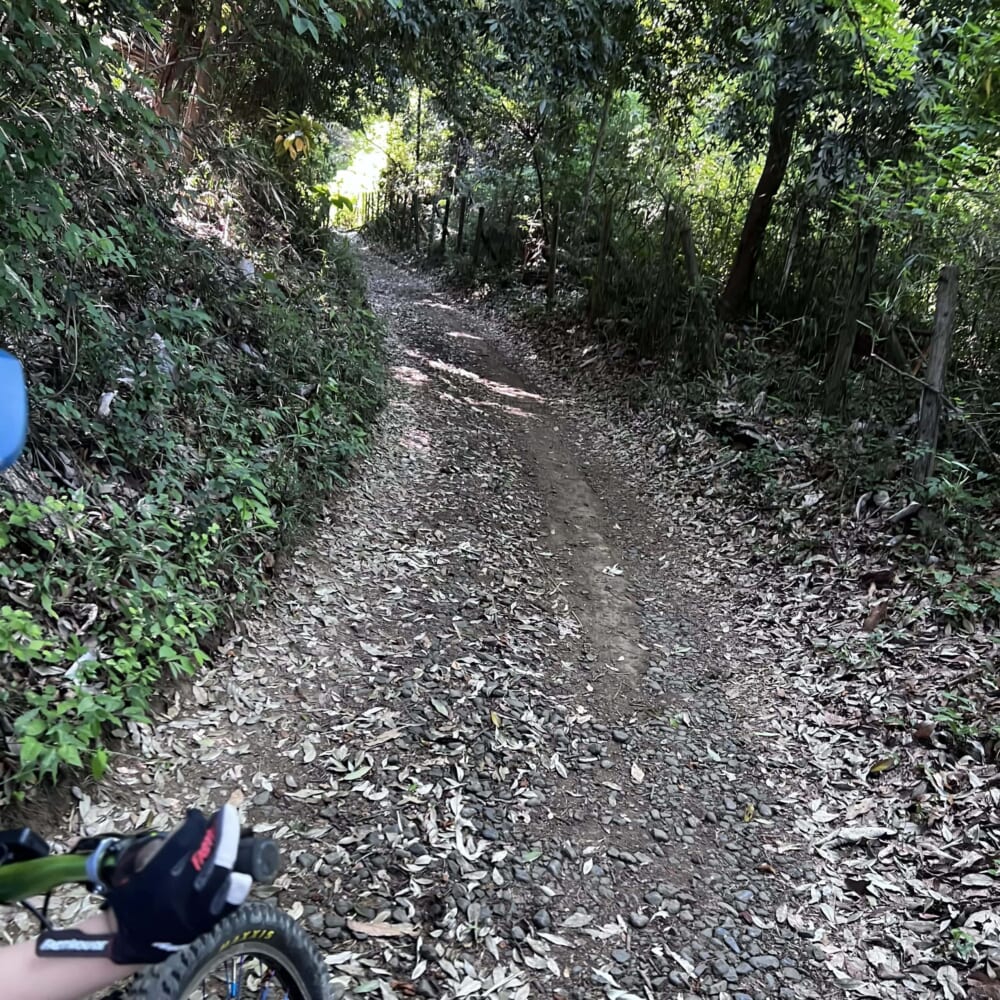 東京　多摩　町田　里山　マウンテンバイク　MTB　オフロード