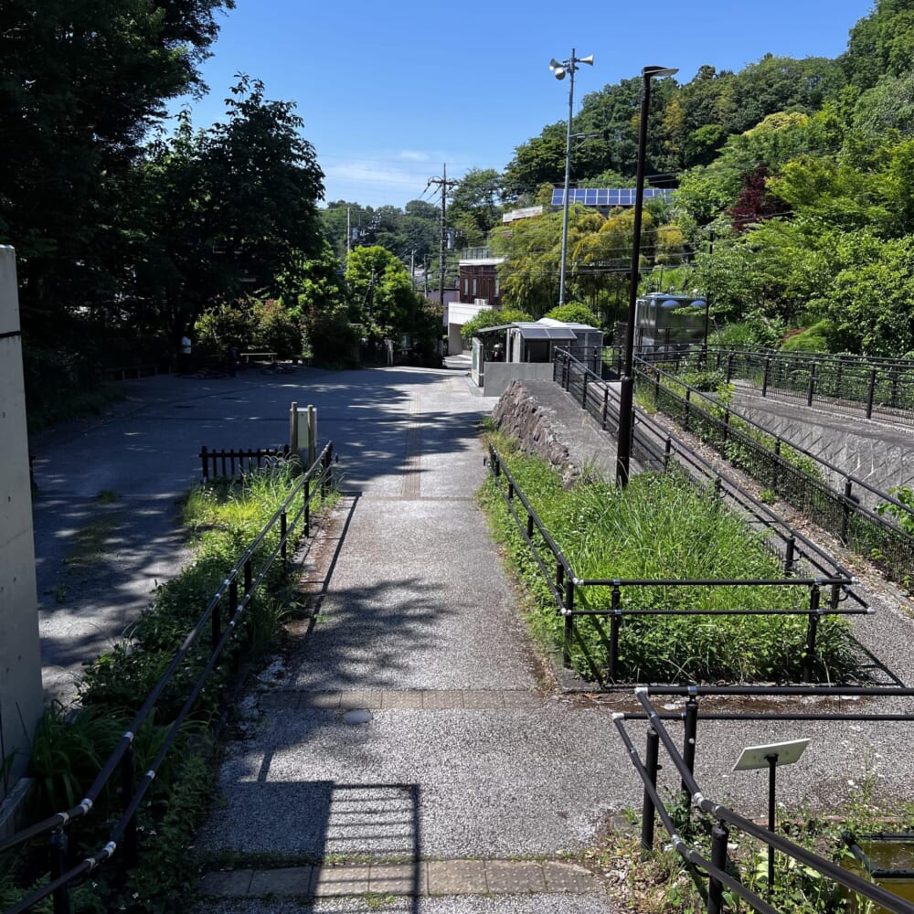 小山田緑地 東京　多摩　町田　里山　マウンテンバイク　MTB　オフロード