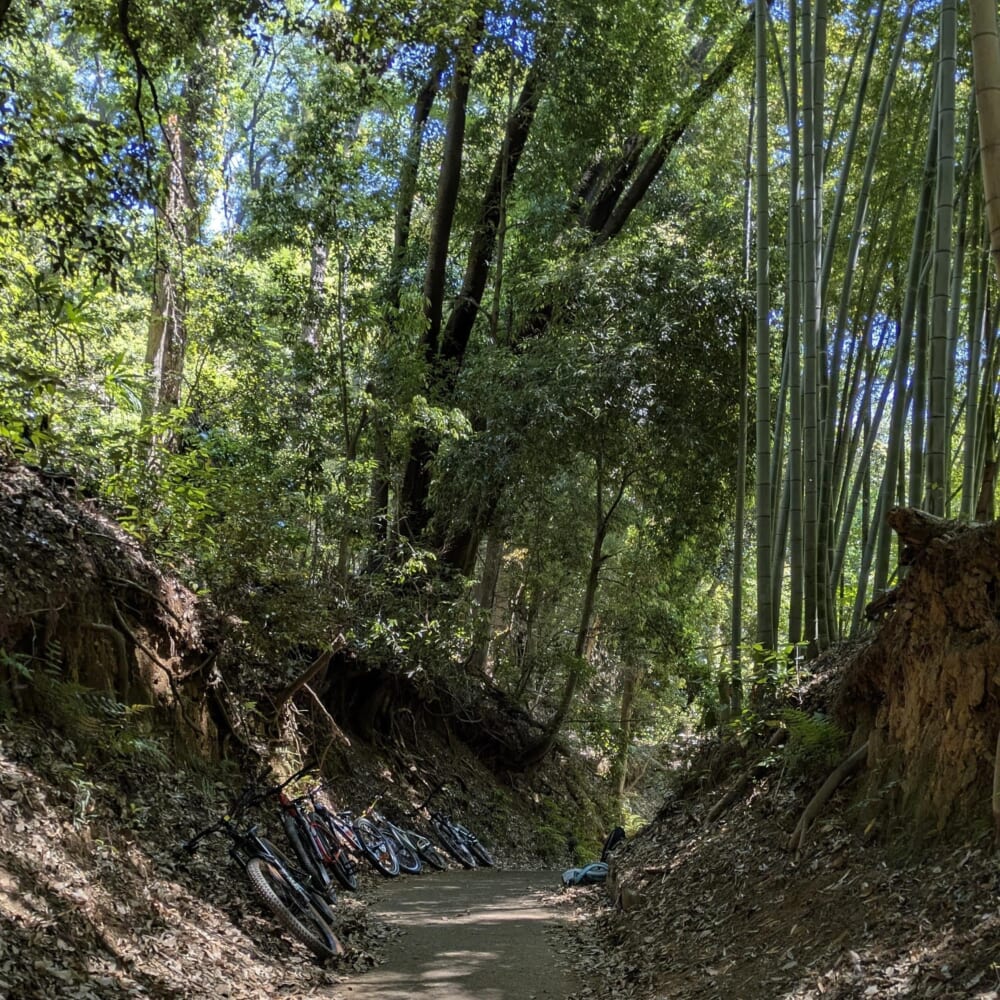 東京　多摩　町田　里山　マウンテンバイク　MTB　オフロード