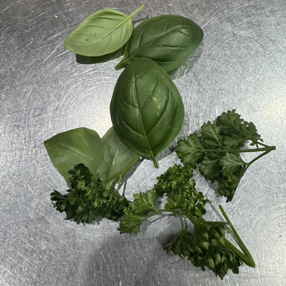 家庭菜園 手作りピザ バジル
