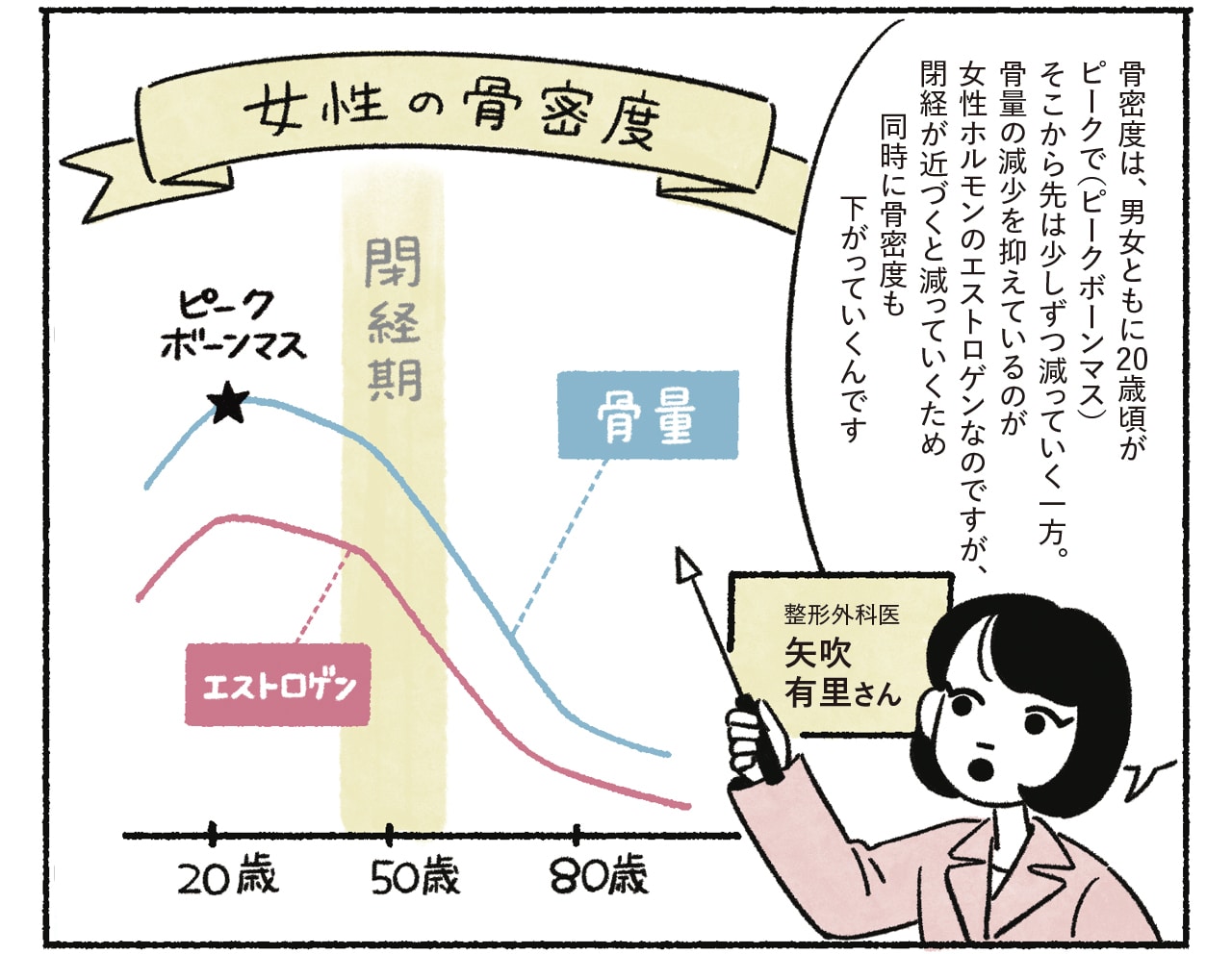 漫画8コマめ 女性の骨密度（図） 整形外科医 矢吹有里さん「骨密度は、男女ともに20歳頃がピークで（ピークボーンマス）そこから先は少しずつ減っていく一方。骨量の減少を抑えているのが女性ホルモンのエストロゲンなのですが、閉経が近づくと減っていくため同時に骨密度も下がっていくんです」
