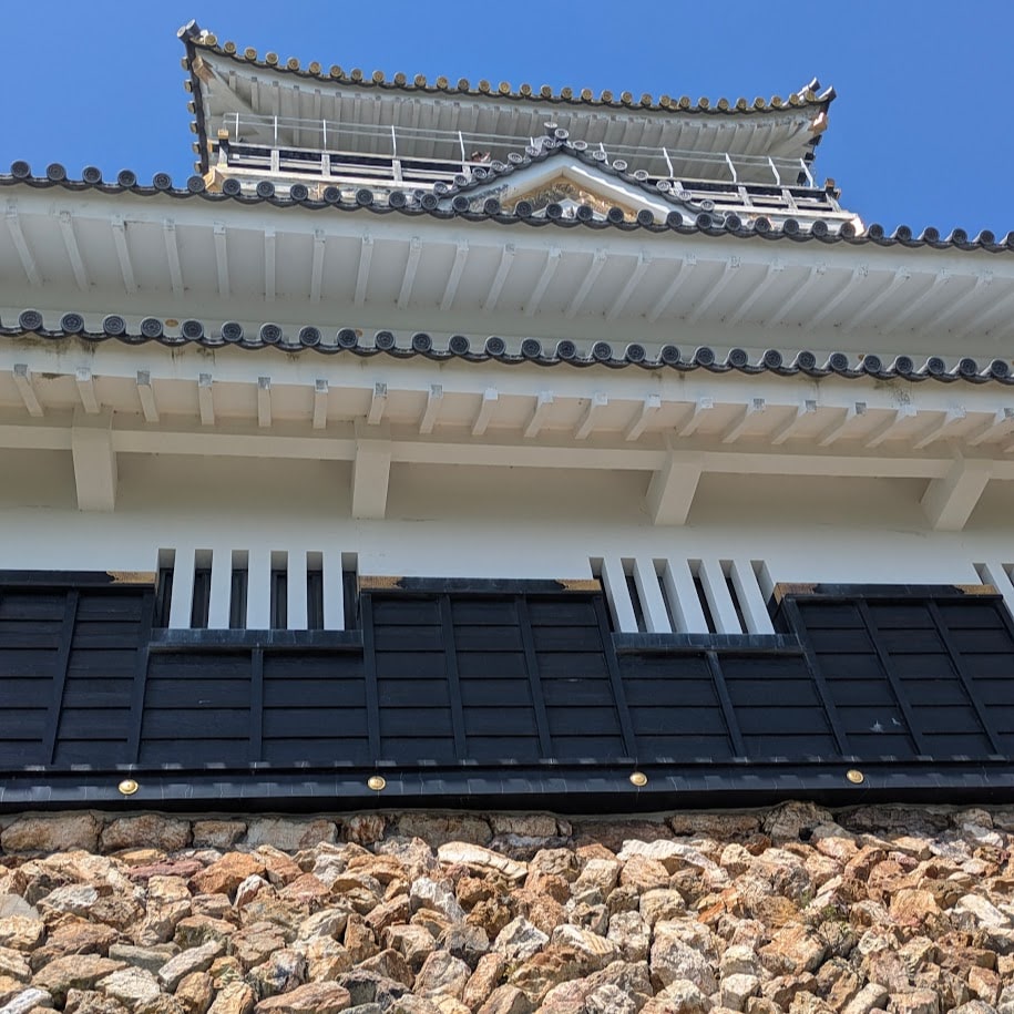 岐阜城　石垣　コポ