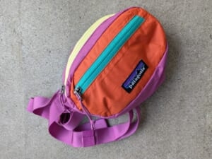 Patagonia ウエストバッグ