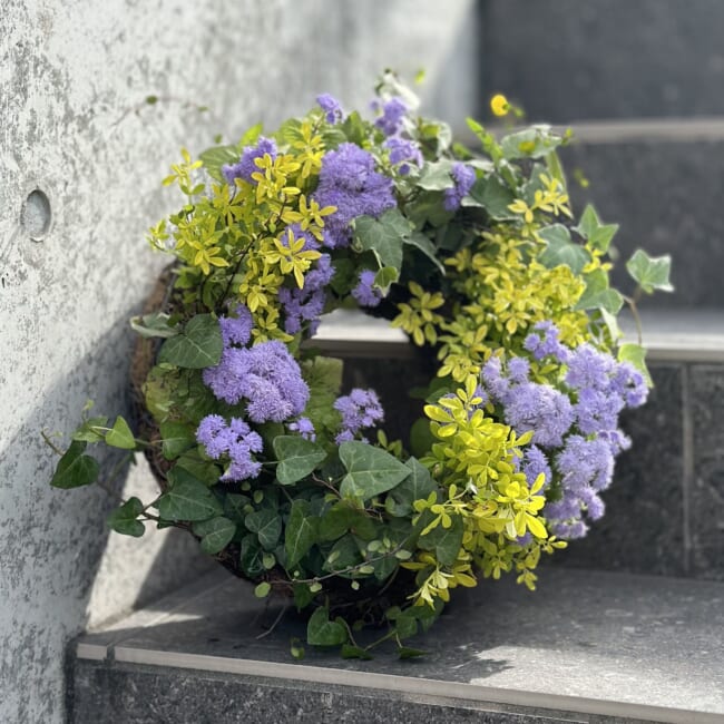 アゲラタムの寄せ植えリース