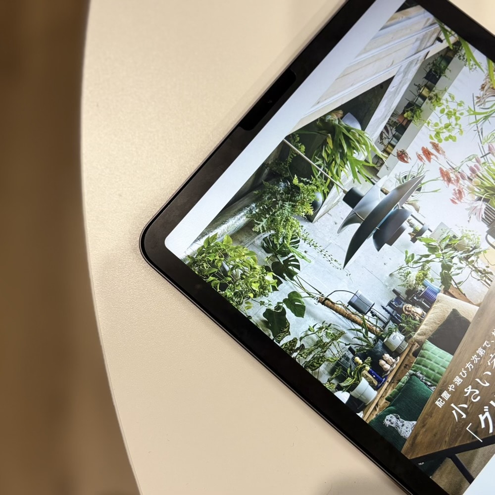 LEE 2026年　6月号　グリーン　小さい家