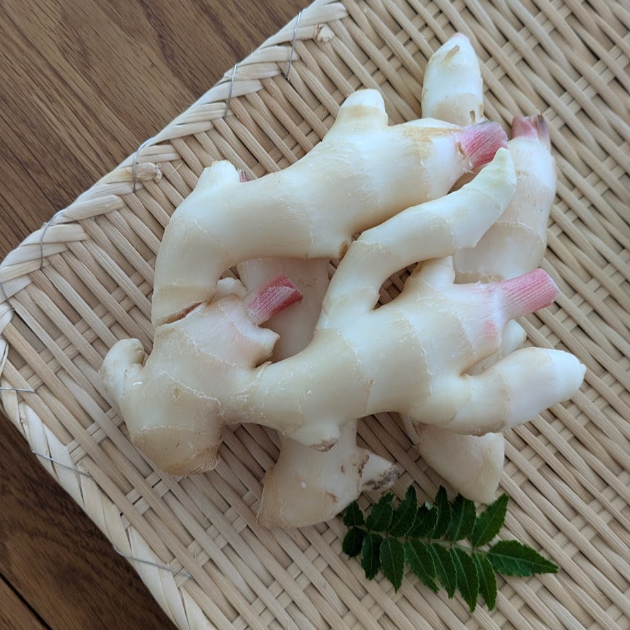 新生姜　山椒の葉　コポ