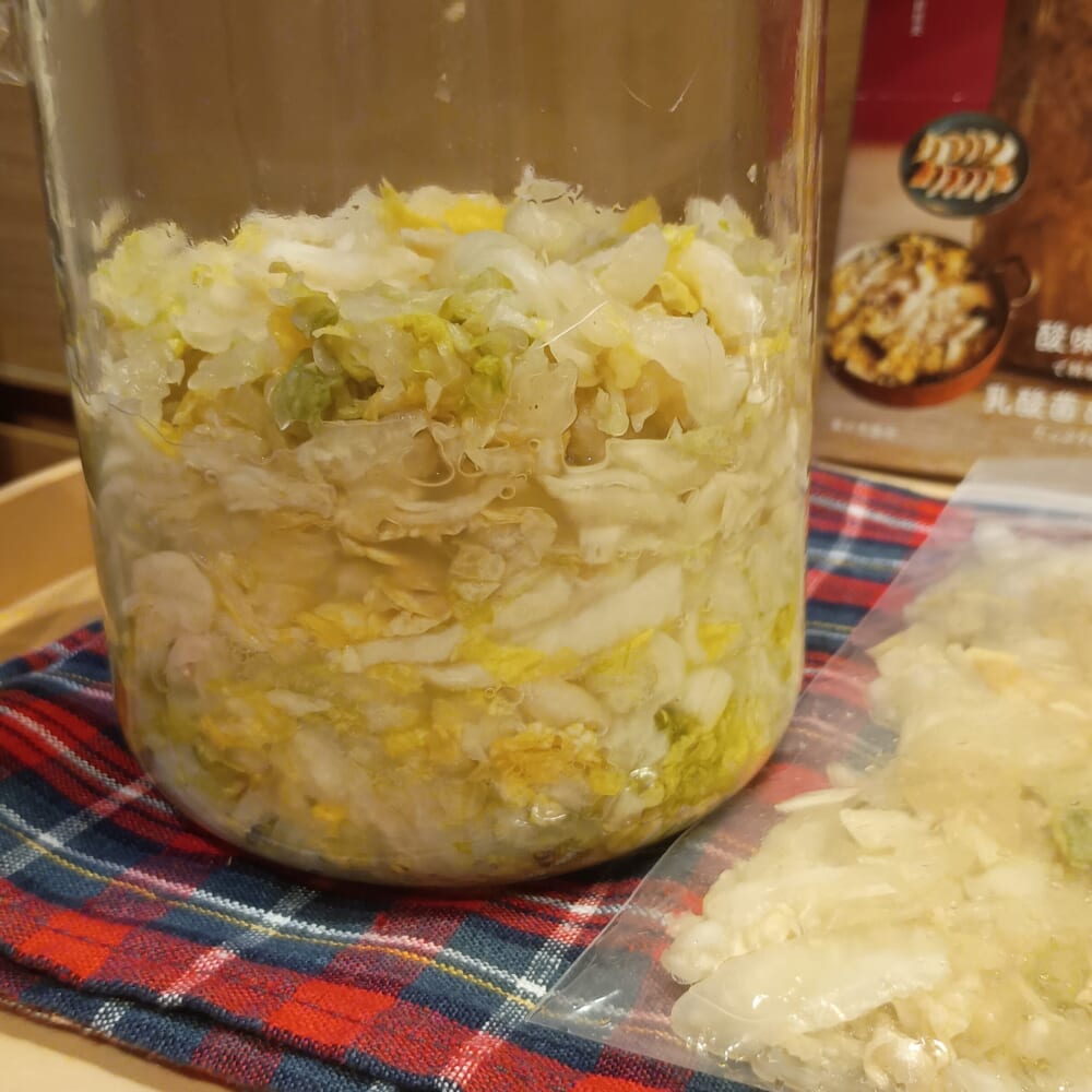 白菜 常備菜 重信初江6