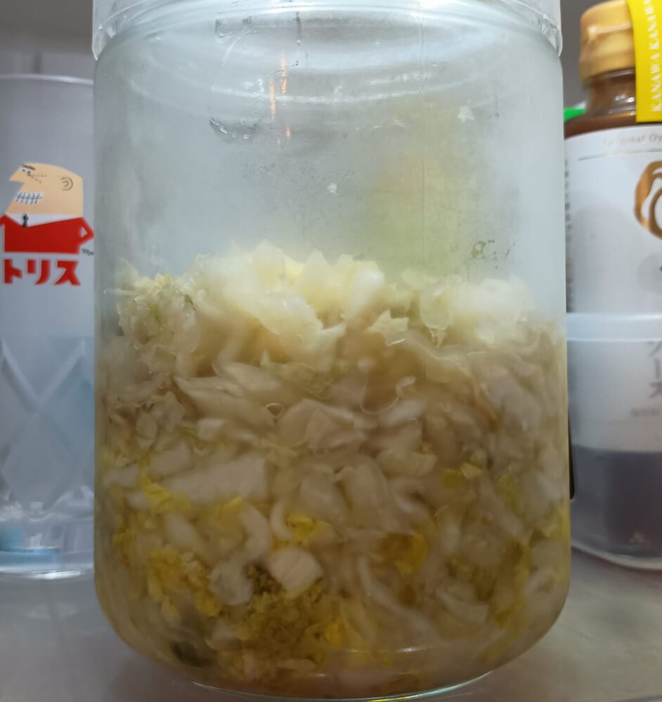 白菜 常備菜 重信初江7