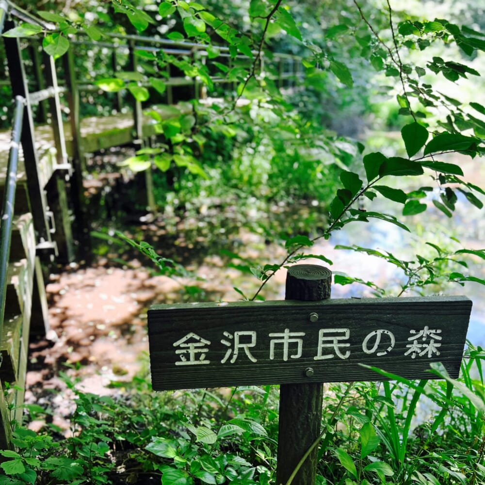 神奈川県 横浜市 金沢区 鎌倉天園 六国峠ハイキングコース
