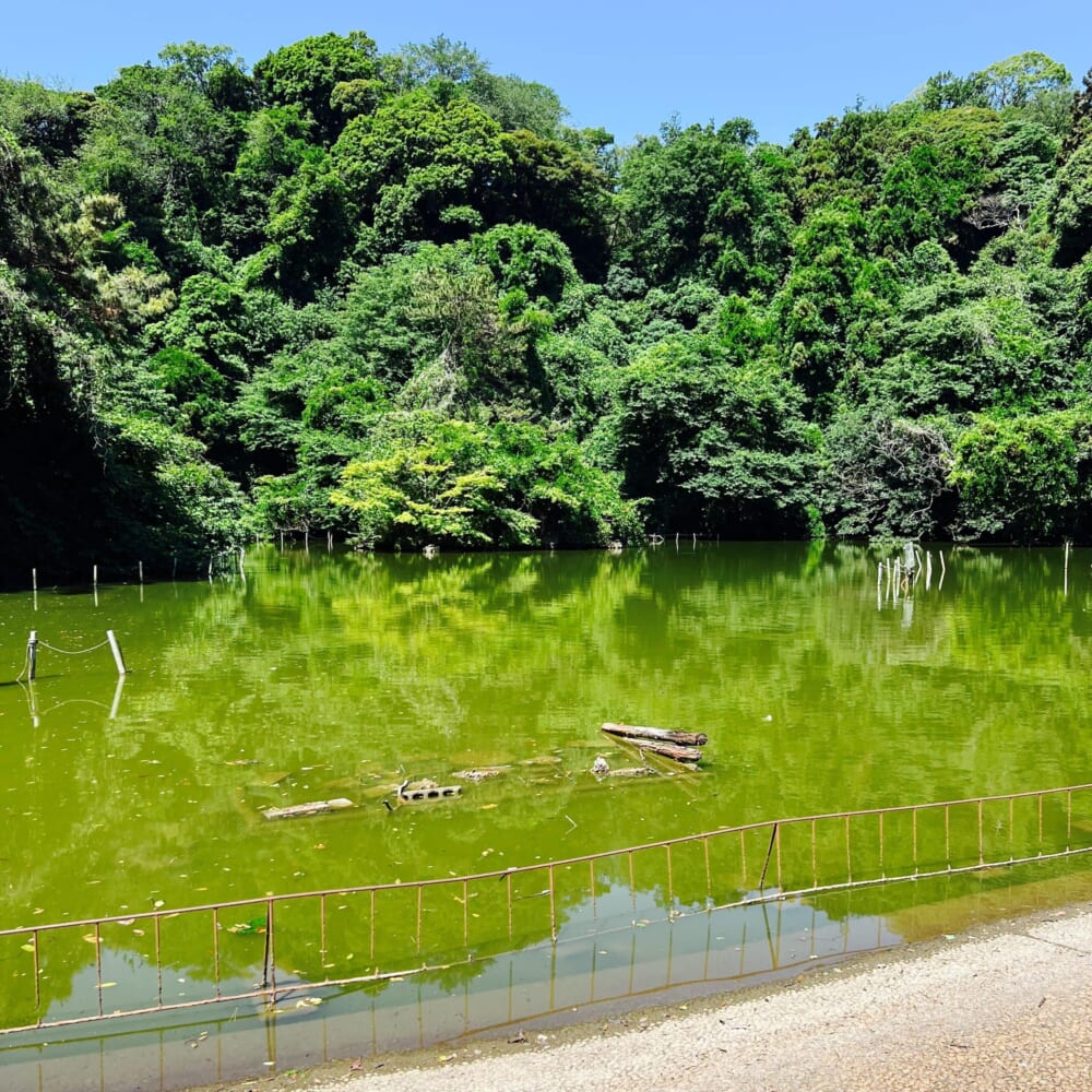 神奈川県 横浜市 金沢区 鎌倉天園 六国峠ハイキングコース 不動池