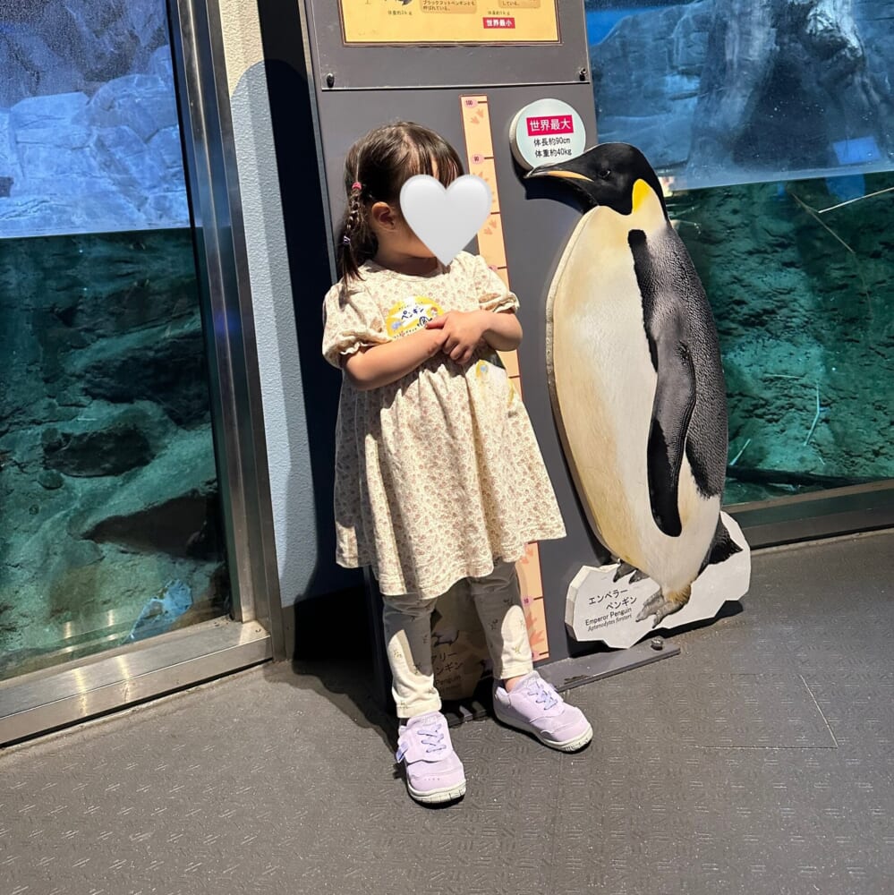 アドベンチャーワールド 子連れおでかけ