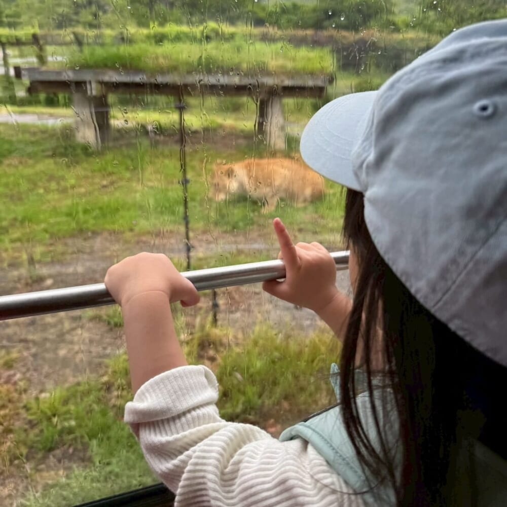 アドベンチャーワールド
　子連れおでかけ