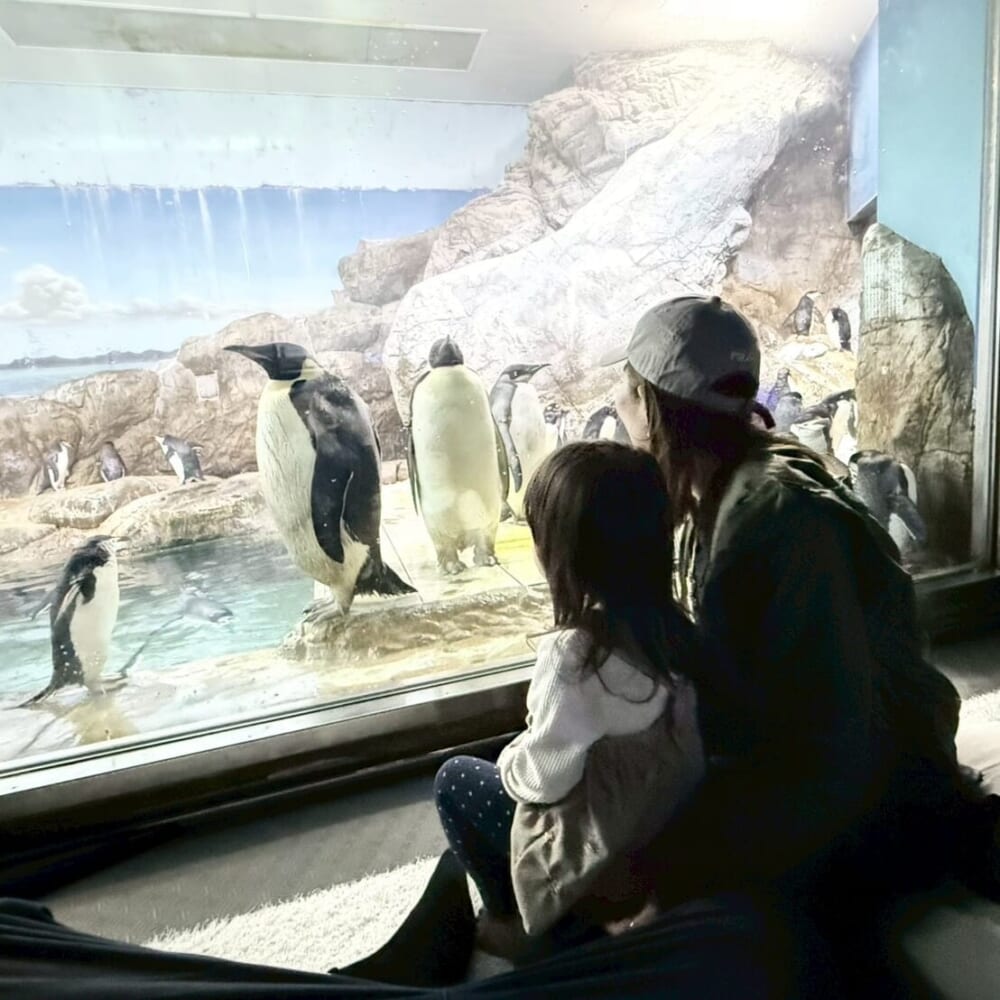 アドベンチャーワールド　ペンギン　子連れ　おでかけ