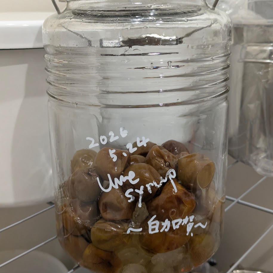 梅シロップ　その後　コポ