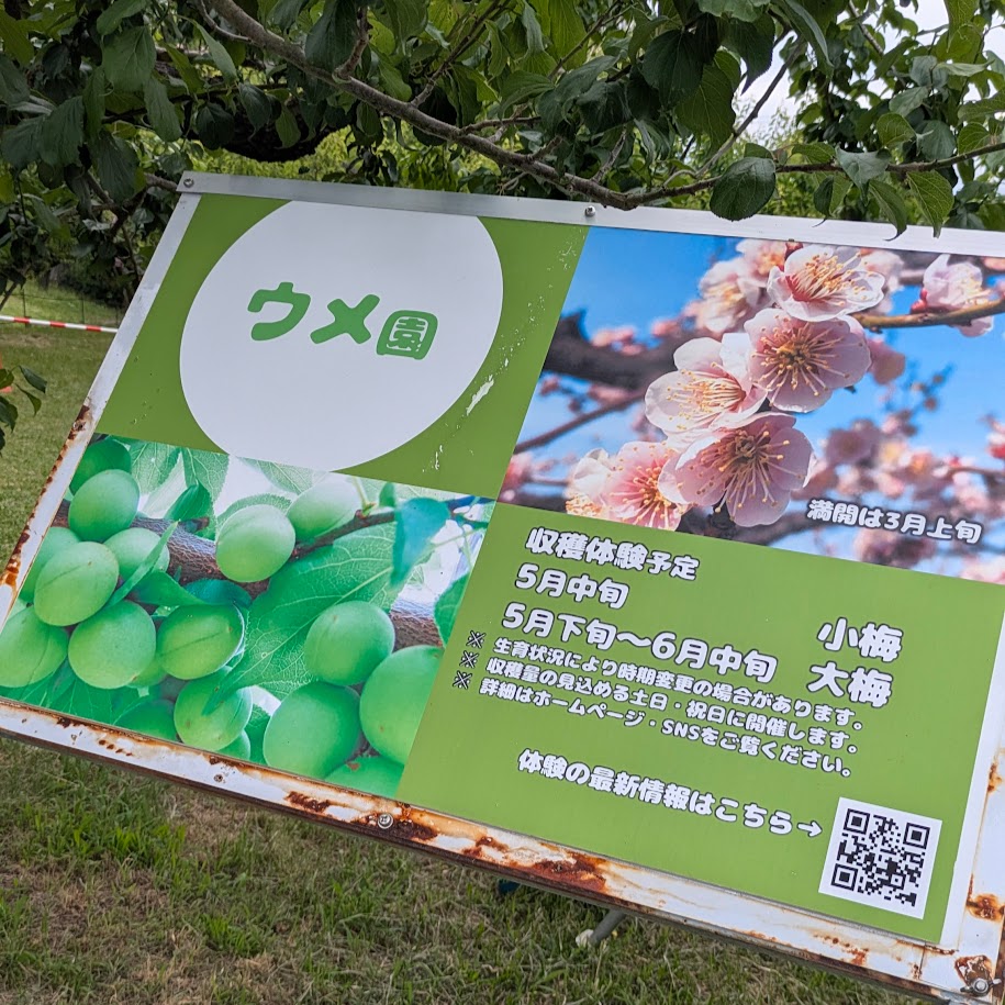 梅園　東谷山フルーツパーク　コポ