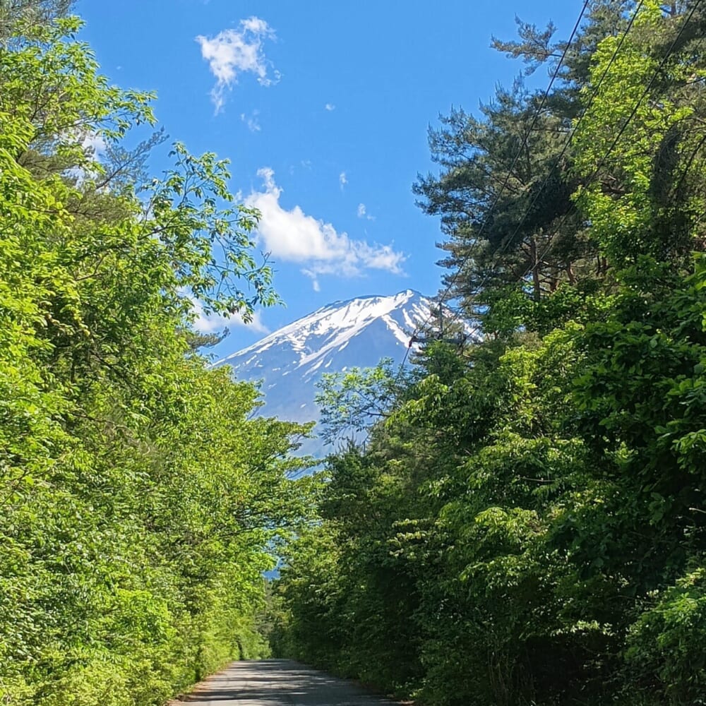 松山油脂 オープンファクトリー　富士河口湖