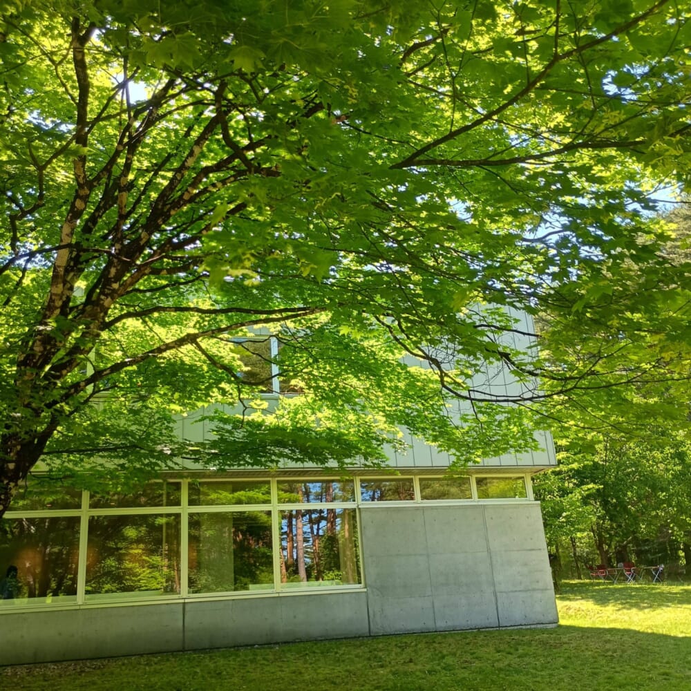 松山油脂 オープンファクトリー　富士河口湖11