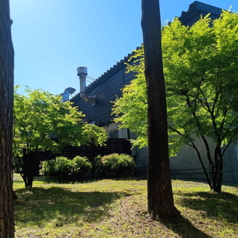 松山油脂 オープンファクトリー　富士河口湖6