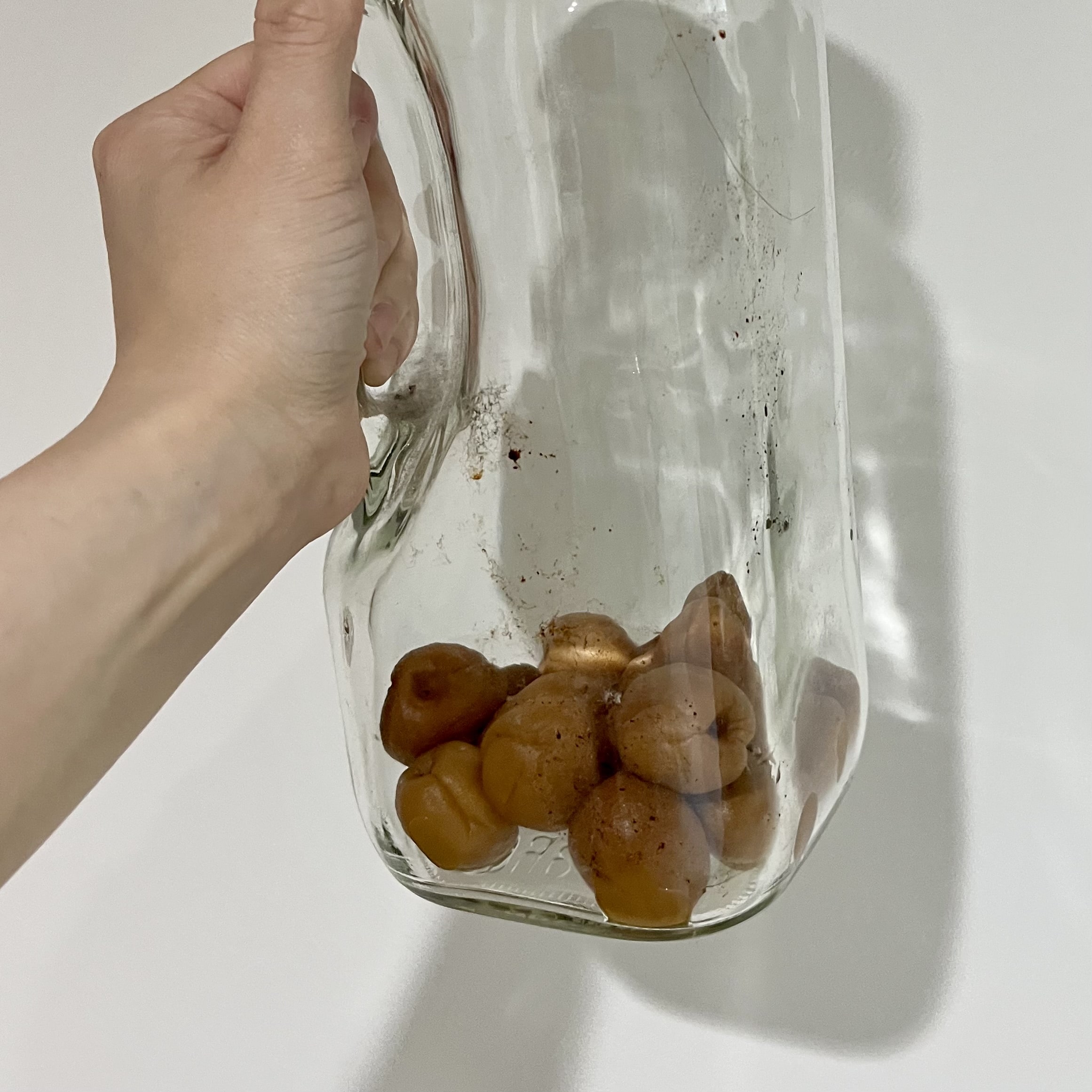 梅