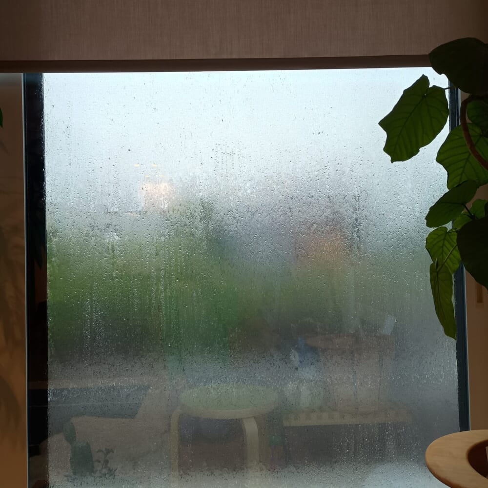 台風 6号 大雨
