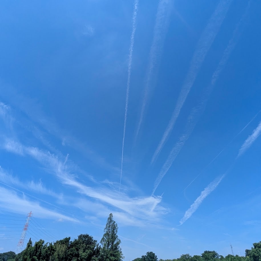 畑　空　台風
