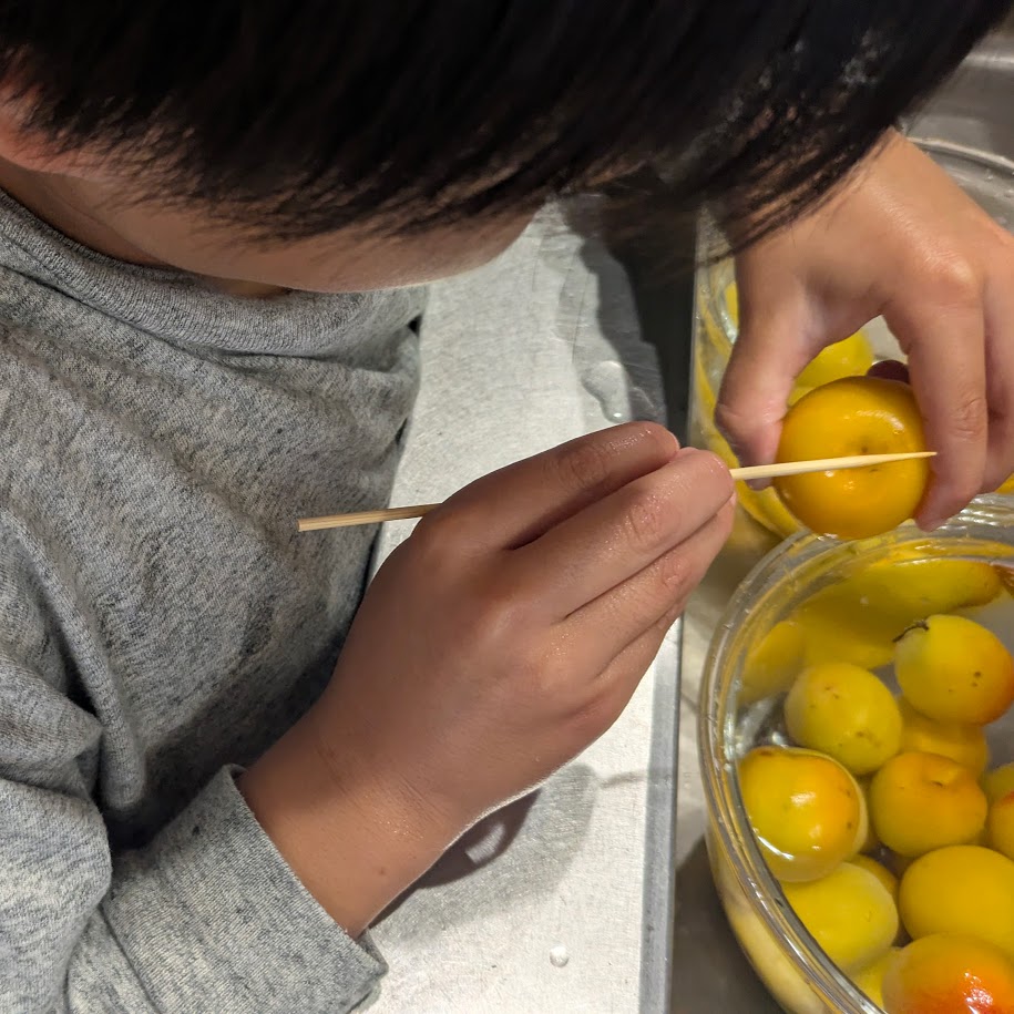 梅干しつくり　コポ　子供