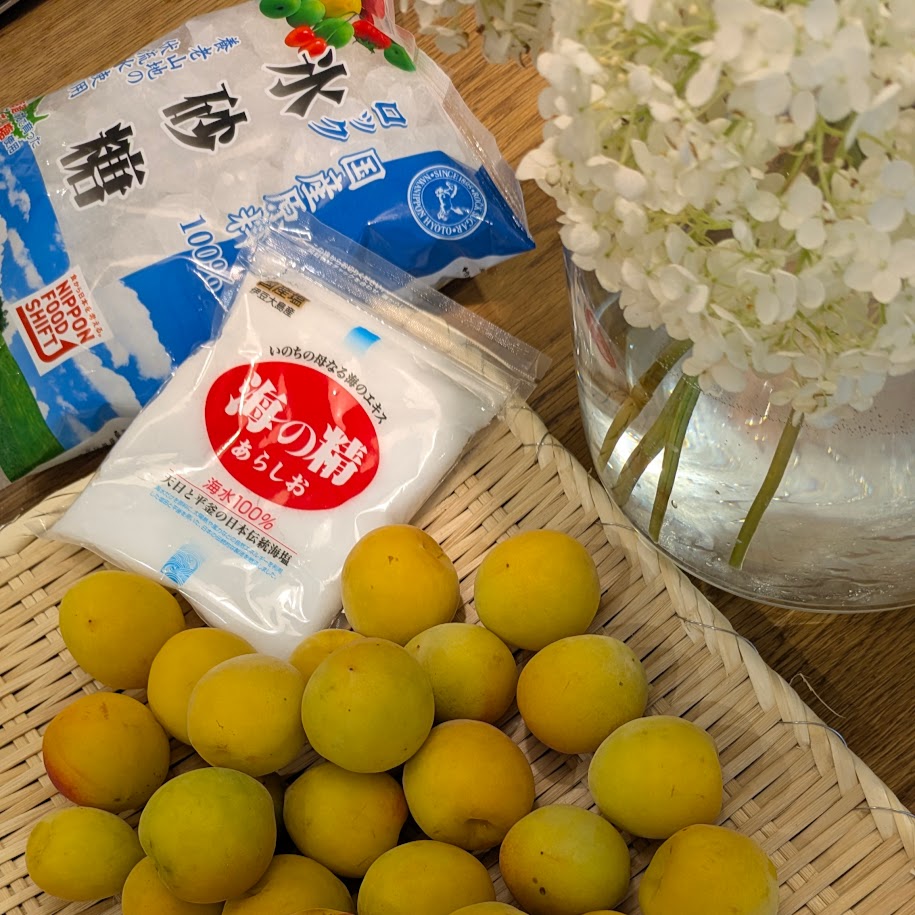 梅干しつくり　コポ　材料