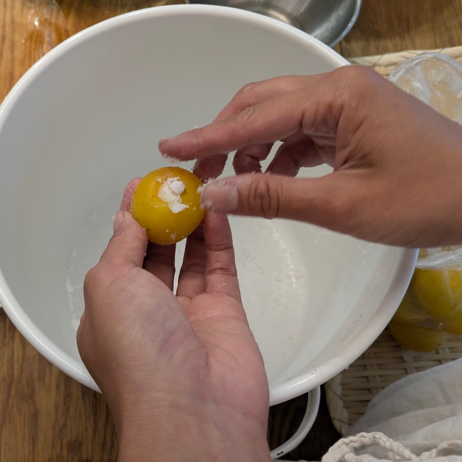 梅干しつくり　コポ　LEE100人隊