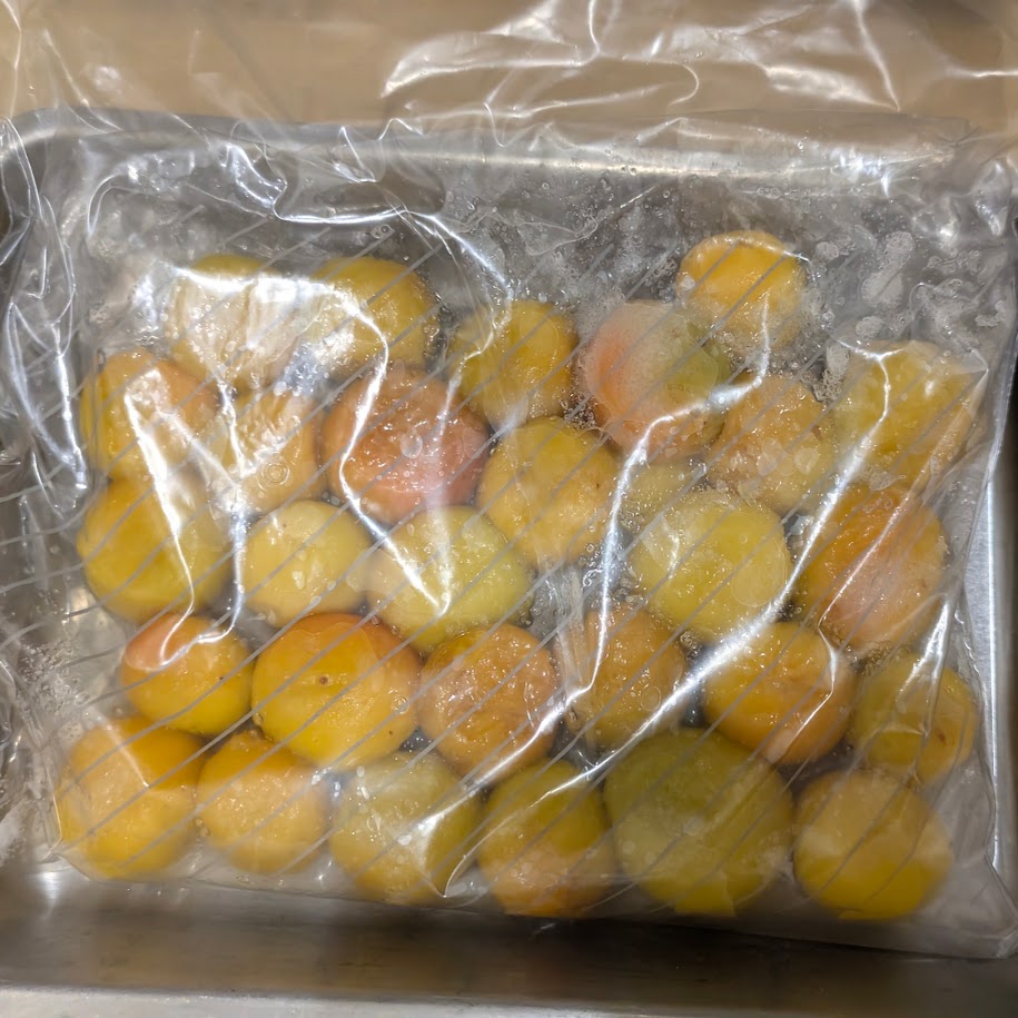 梅干しつくり　コポ　LEE100人隊