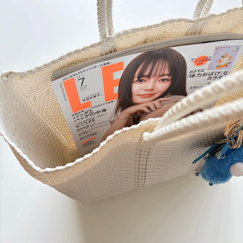 LEE7月号 ドット かごバッグ