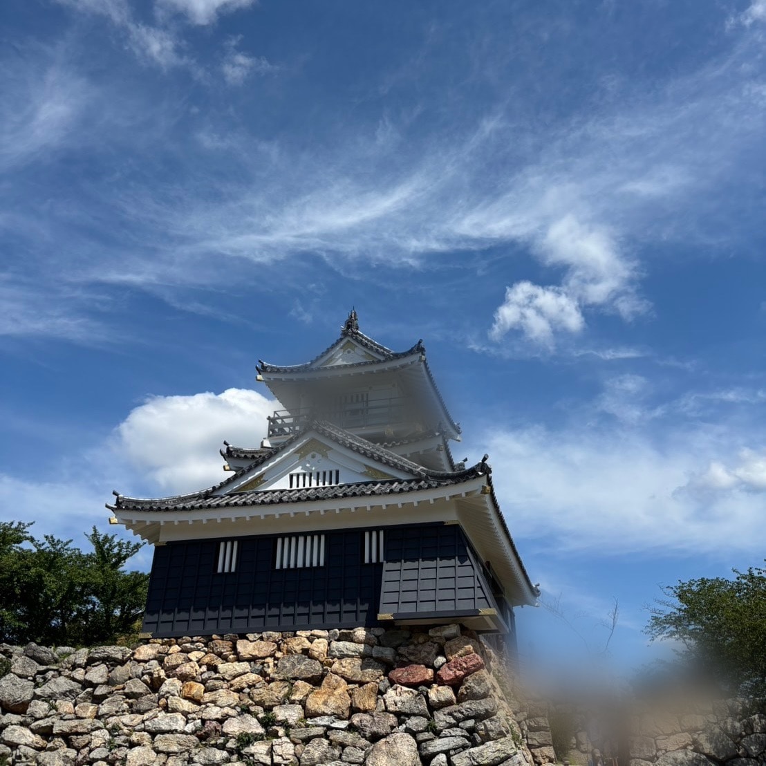浜松城