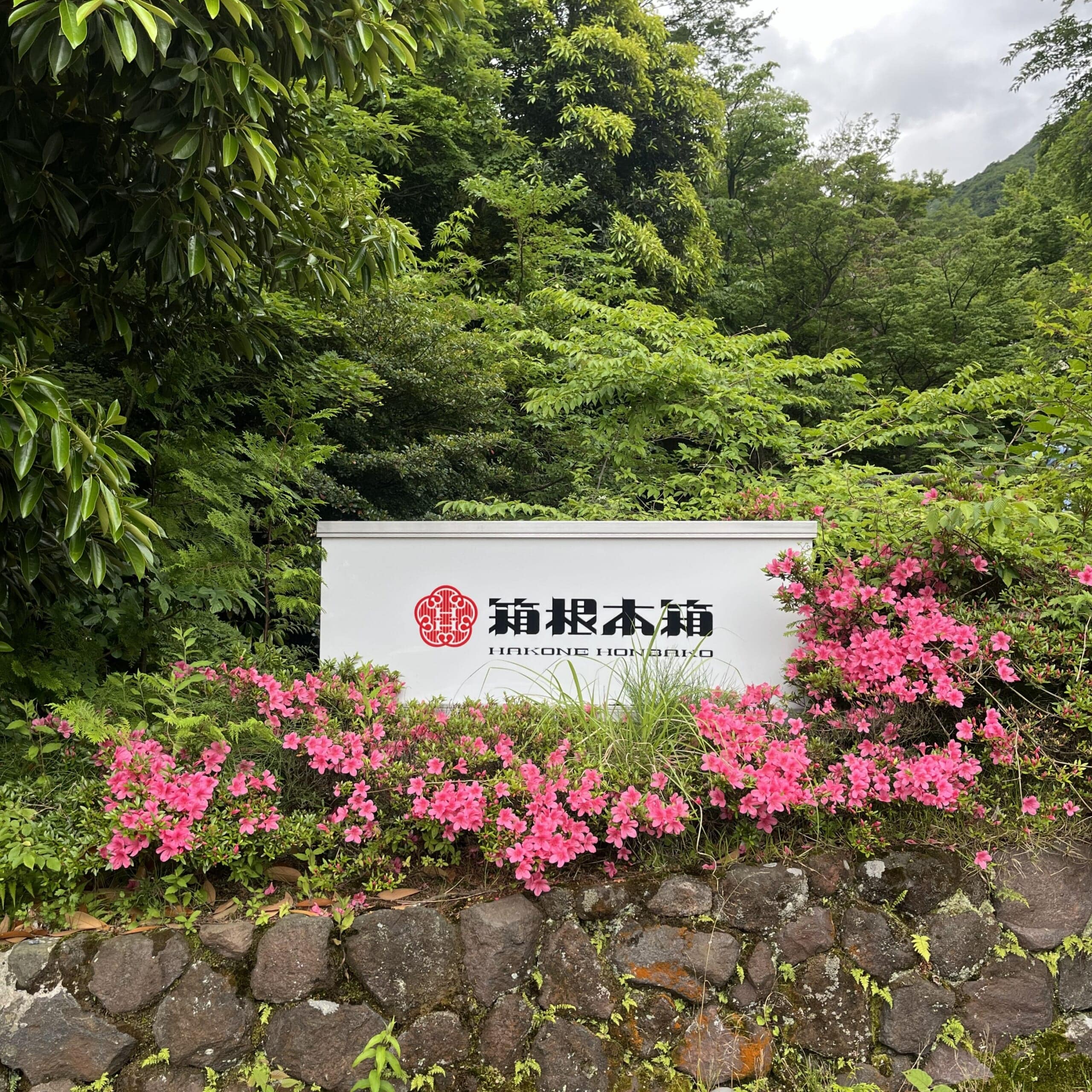 箱根本箱