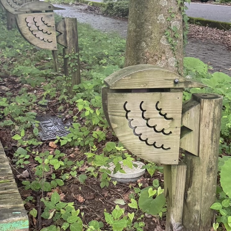 もく遊りん　白山市　ランチ